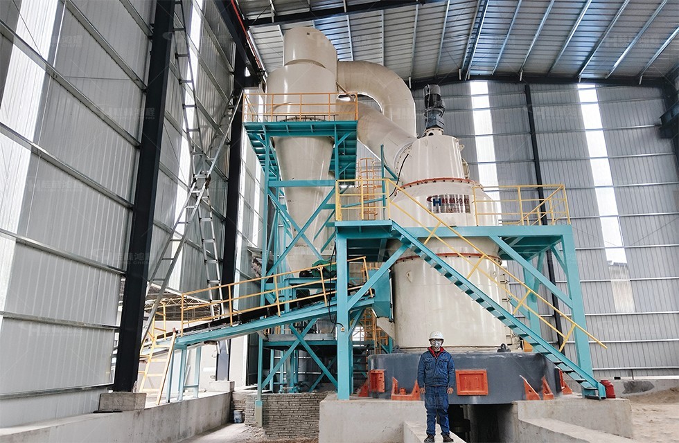 大型新式雷蒙機(jī)